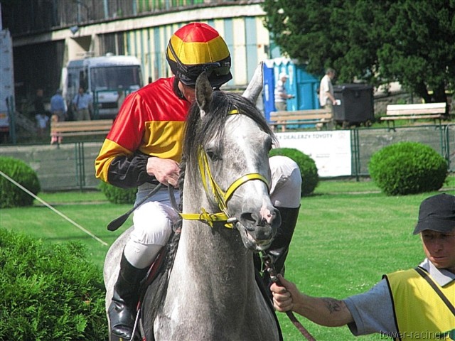 image_23.jpg