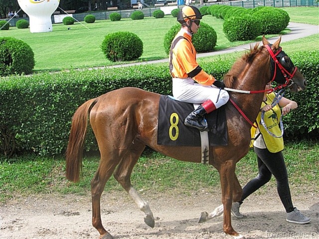 image_30.jpg