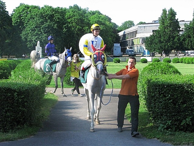 image_31.jpg