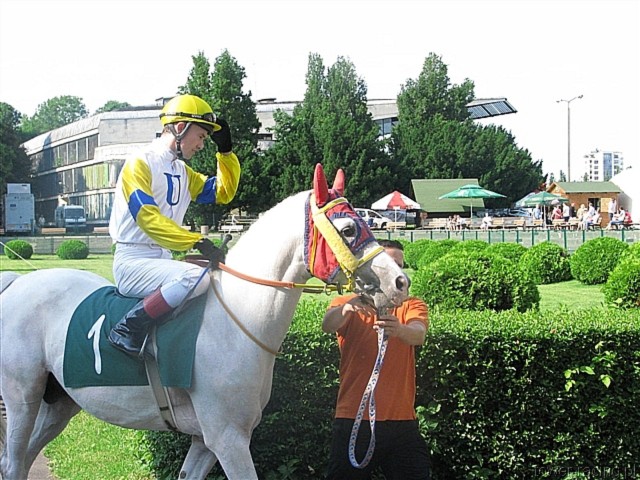 image_32.jpg