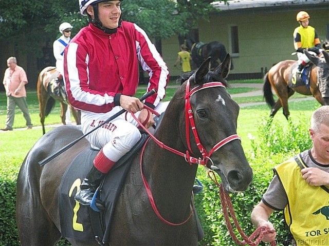 image_40.jpg