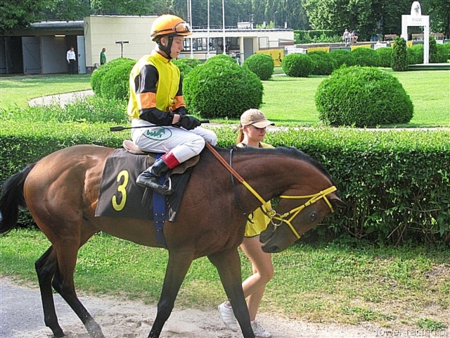 image_43.jpg