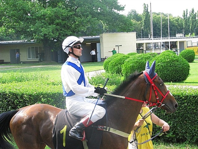 image_44.jpg