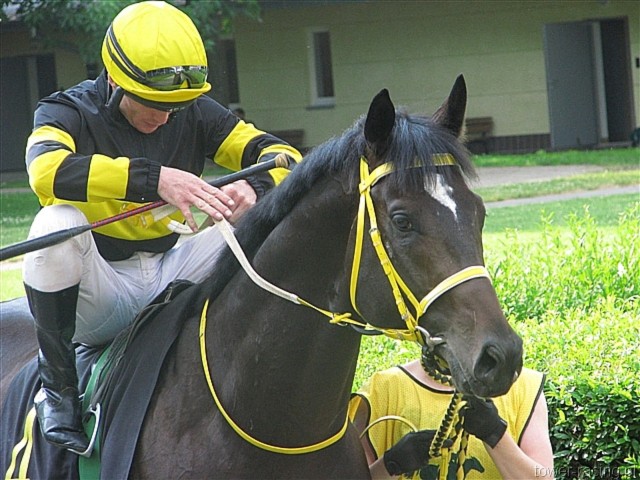 image_46.jpg