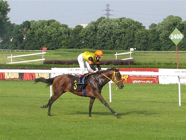 image_48.jpg
