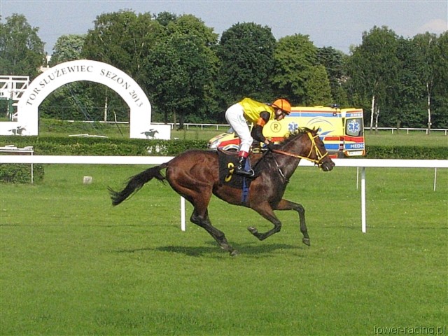 image_49.jpg