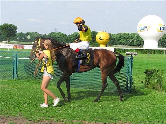 image_51.jpg