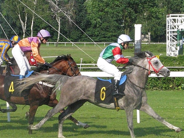 image_68.jpg