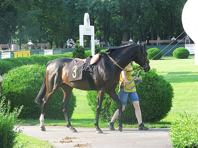 image_70.jpg