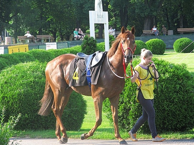 image_71.jpg