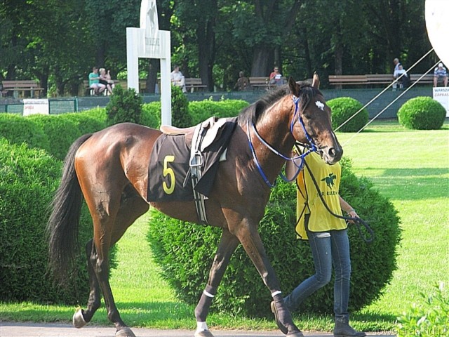 image_72.jpg
