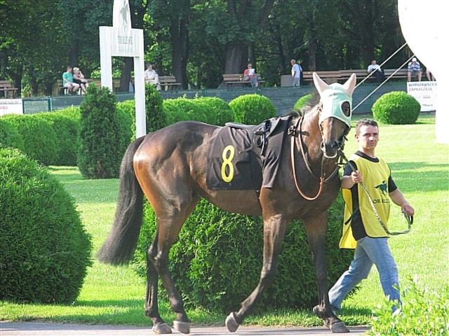 image_73.jpg