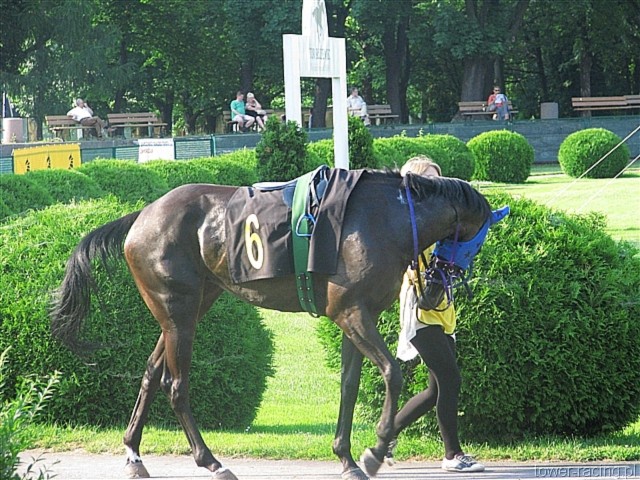 image_74.jpg