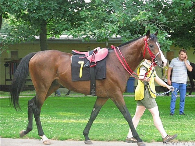 image_75.jpg