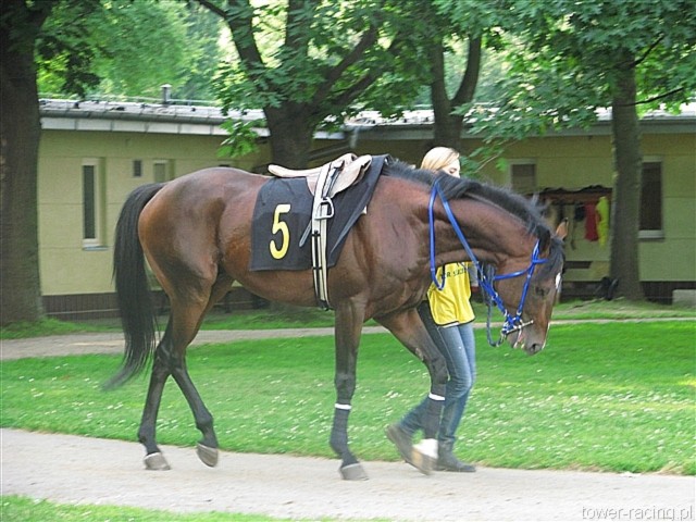 image_77.jpg