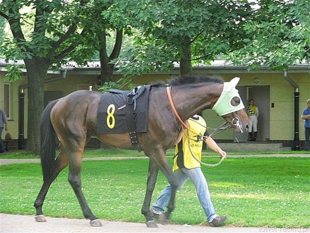 image_78.jpg
