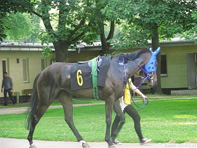 image_79.jpg