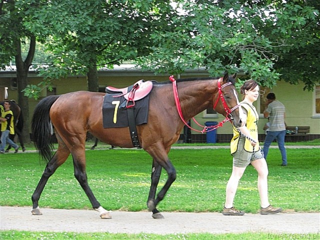 image_82.jpg