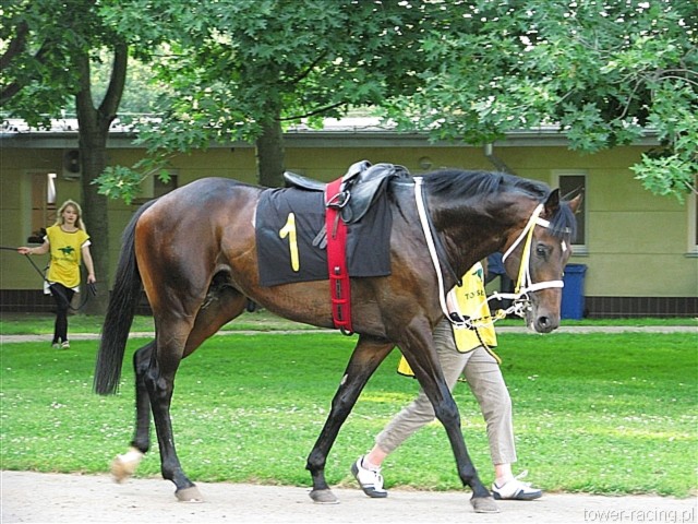 image_83.jpg