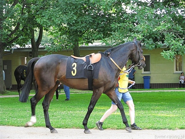 image_84.jpg
