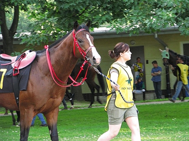 image_87.jpg