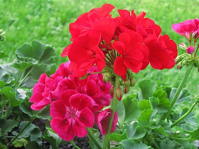 image_9.jpg