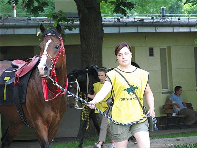 image_90.jpg