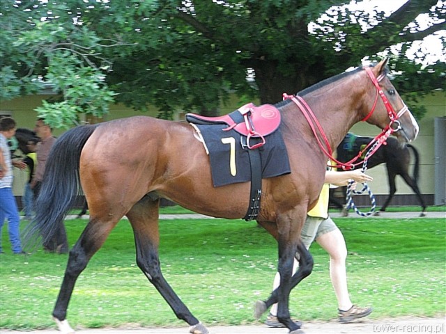 image_94.jpg