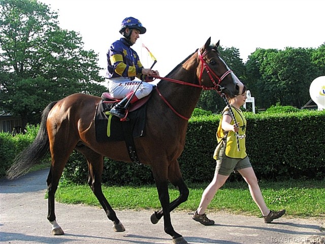 image_95.jpg