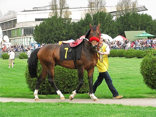 image_0.jpg