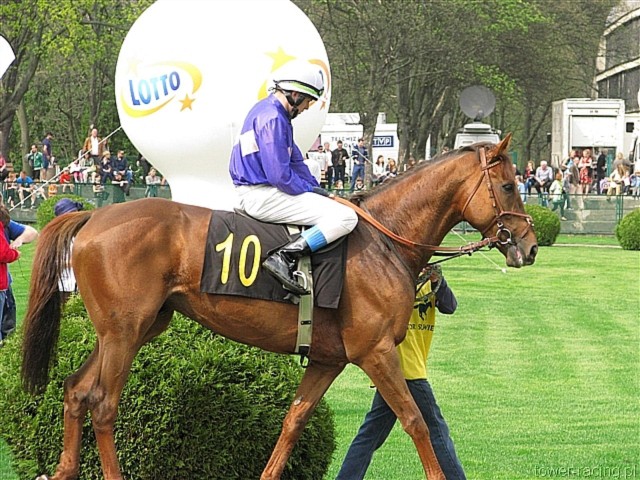 image_10.jpg