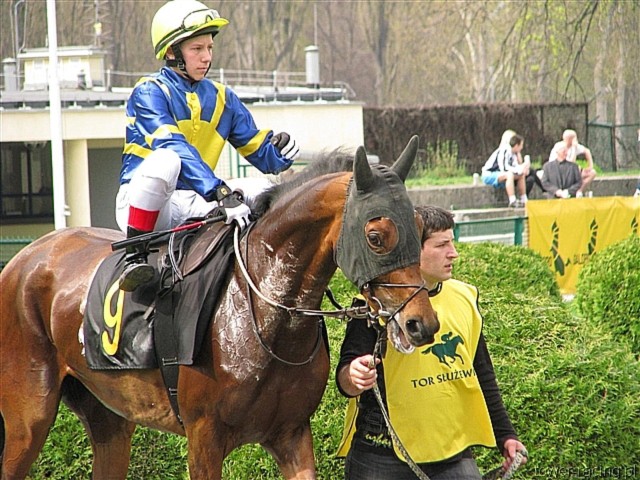 image_12.jpg