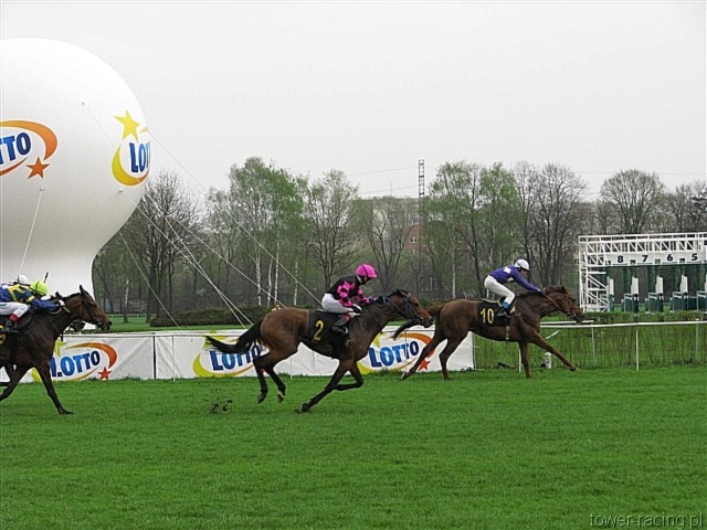 image_13.jpg