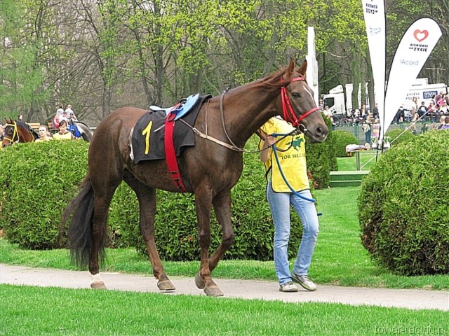 image_14.jpg