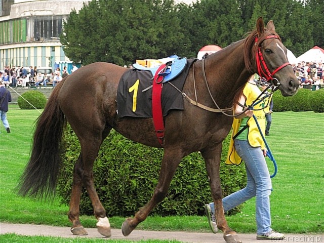 image_15.jpg