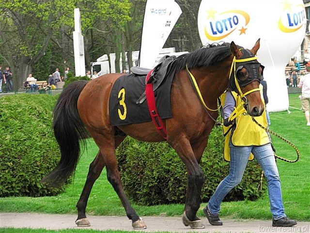 image_17.jpg
