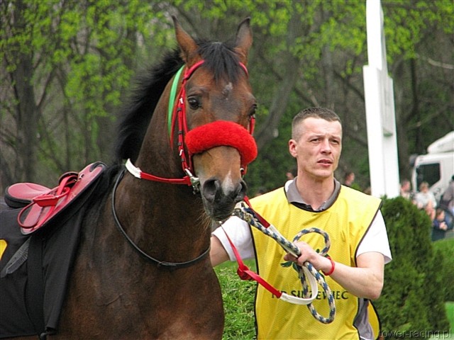 image_21.jpg