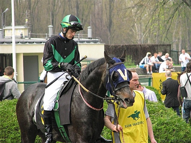image_3.jpg