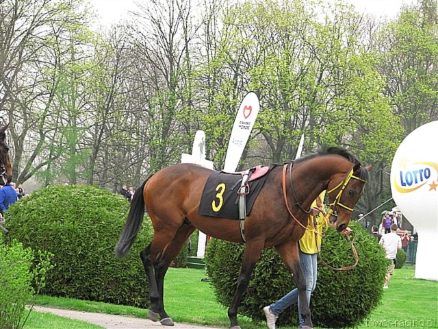 image_30.jpg