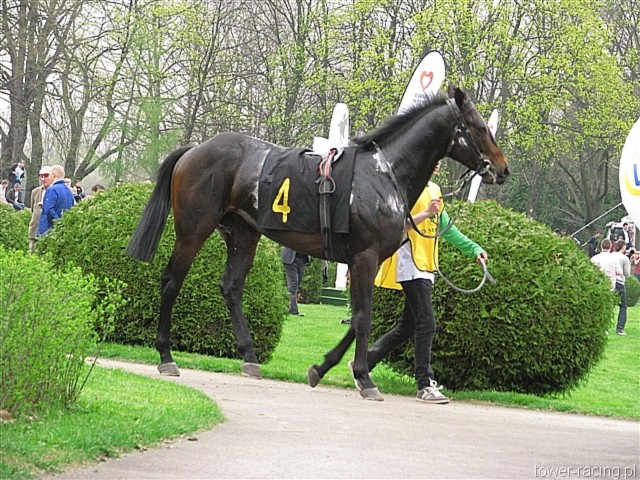 image_31.jpg