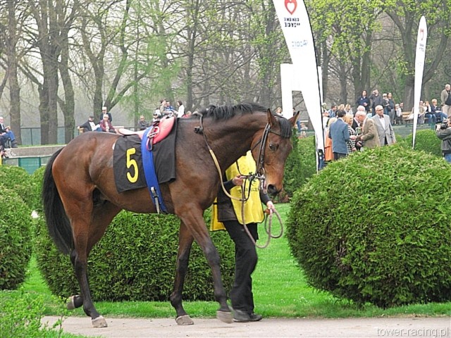 image_48.jpg