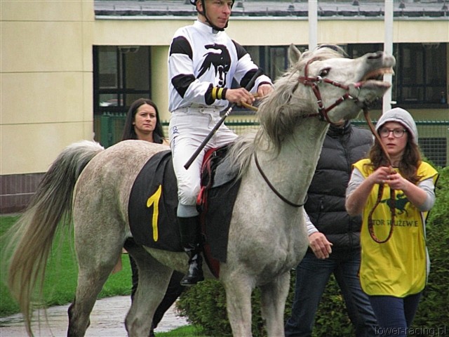 image_56.jpg