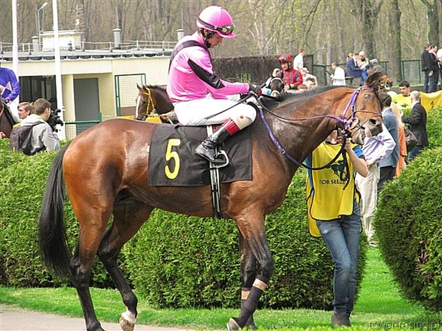 image_6.jpg