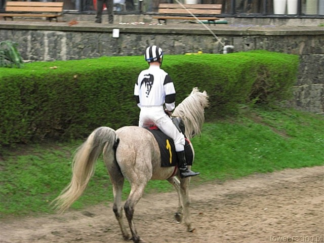 image_60.jpg