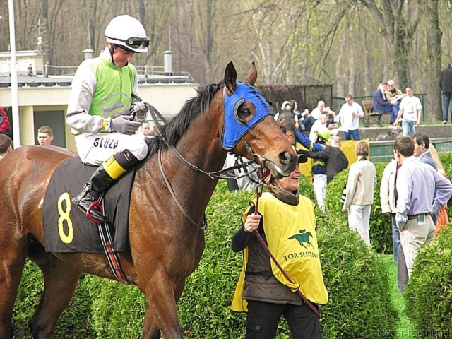 image_7.jpg