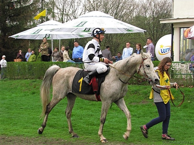 image_73.jpg