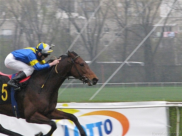 image_76.jpg