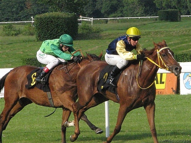 image_0.jpg