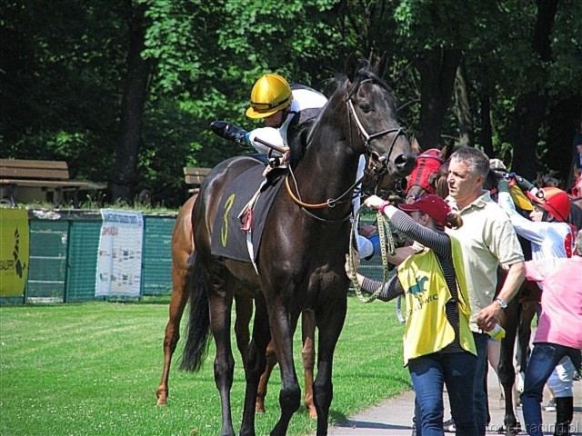 image_1.jpg