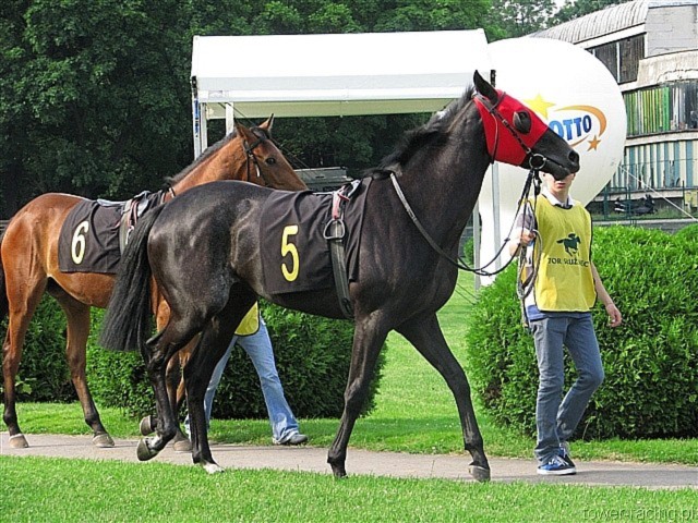 image_100.jpg